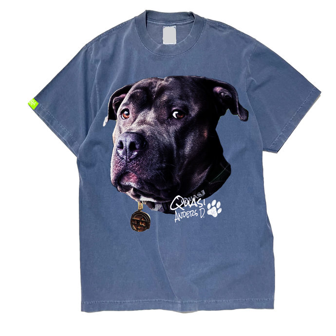 BULLY